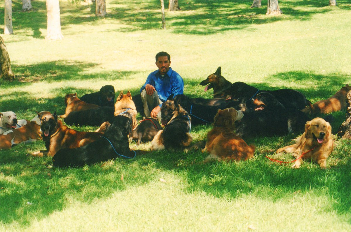 cesarmillan's tweet photo. How many of our endeavors happen because of the support and motivation of our pack??? It is always important to listen to those we admire, those who are interested and concerned about us. #BetterHumansBetterPlanet
. . .
¿Cuántos de nuestros esfuerzos suceden gracias al apoyo y motivación de nuestra manada??? Siempre es importante escuchar a quienes admiramos, a quienes se interesan y se preocupan por nosotros. #BetterHumansBetterPlanet