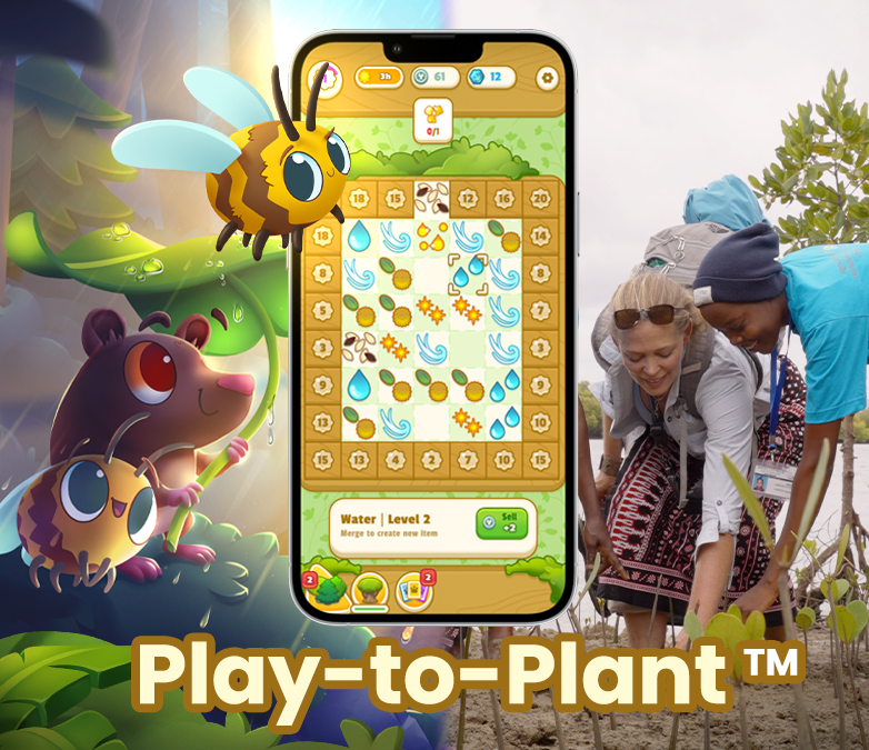 Hello, EverForest community! 

🎮Currently in early access with game launch aimed for early 2024!
🌳See the status of your planted trees via our real-tree planting experience
💧🔅🍃New game levels and thousands of merge objects added!  

Stay tuned for more exciting game updates!