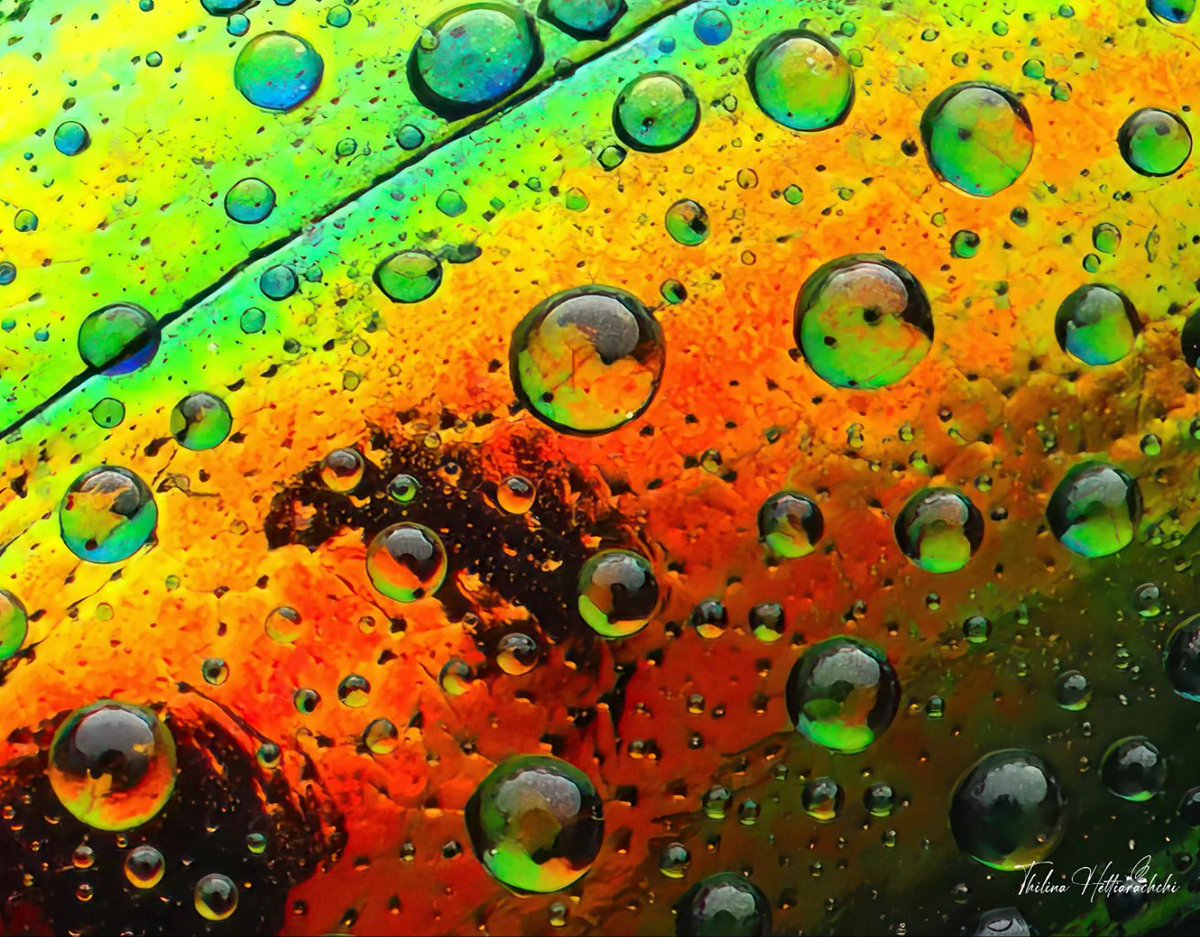 Thilina Hettiarachchi (@bugsnapz) tweet media