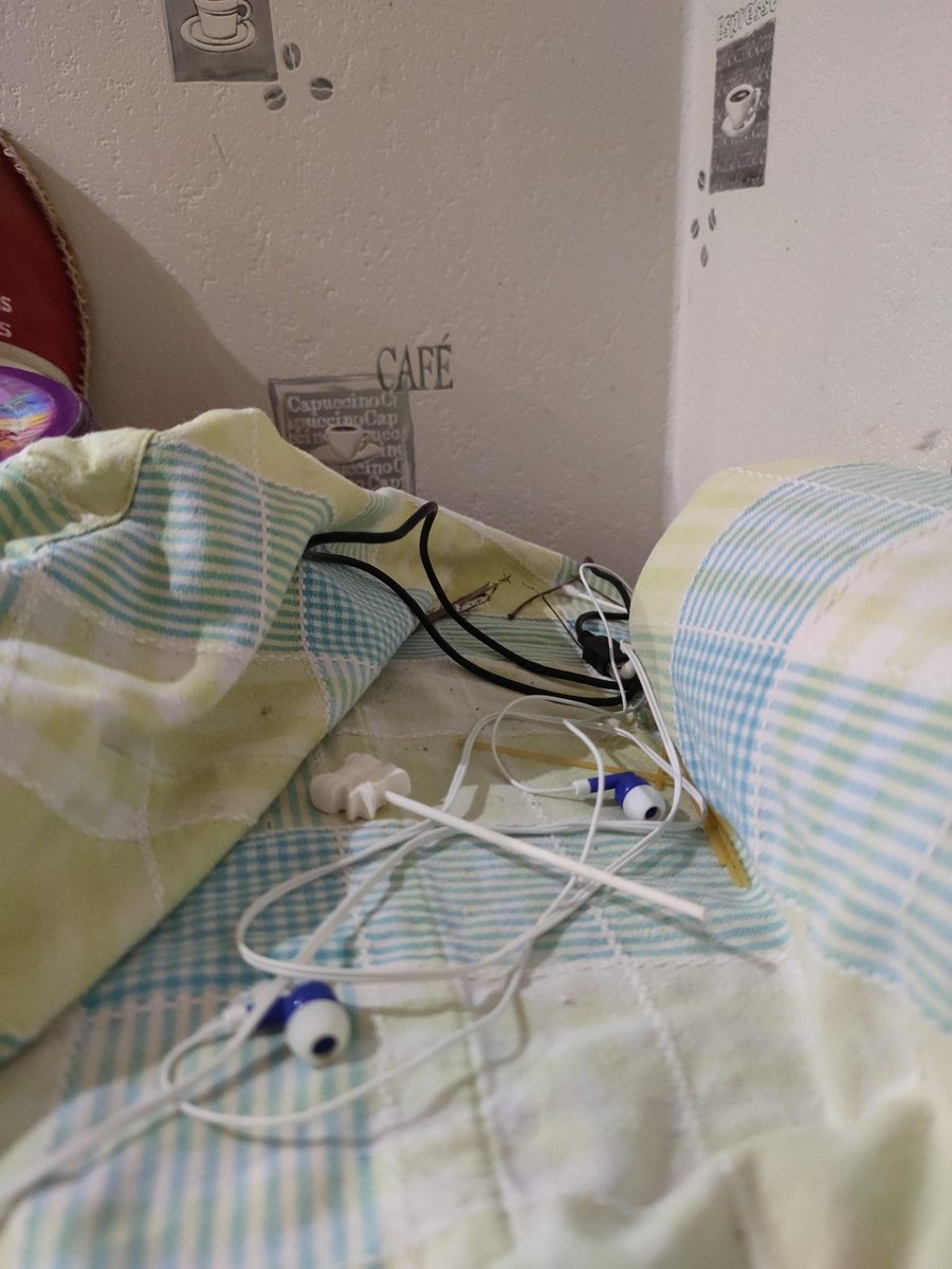 funeralopoliss's tweet photo. non jsuis explosée ça fait deux jours Tacos il veut faire un nid sur le frigo, donc il emmène branche, morceau de spaghetti, câble de chargeur, coton tige etc là je lui ai sorti une poche de scoubidou le type est REFAIT.... Regardez le work in progress https://t.co/mzvwaCgrel