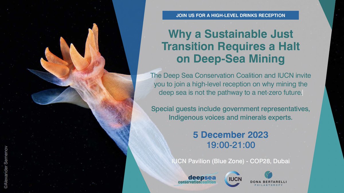 Are you attending #COP28? If so, join us on Dec 5th for an open high-level reception we’re co-hosting alongside @IUCN & @Bertarelli_fdn on why #DeepSeaMining is not the pathway to a net-zero future. Don’t miss this opportunity to join the discussions to #DefendTheDeep!