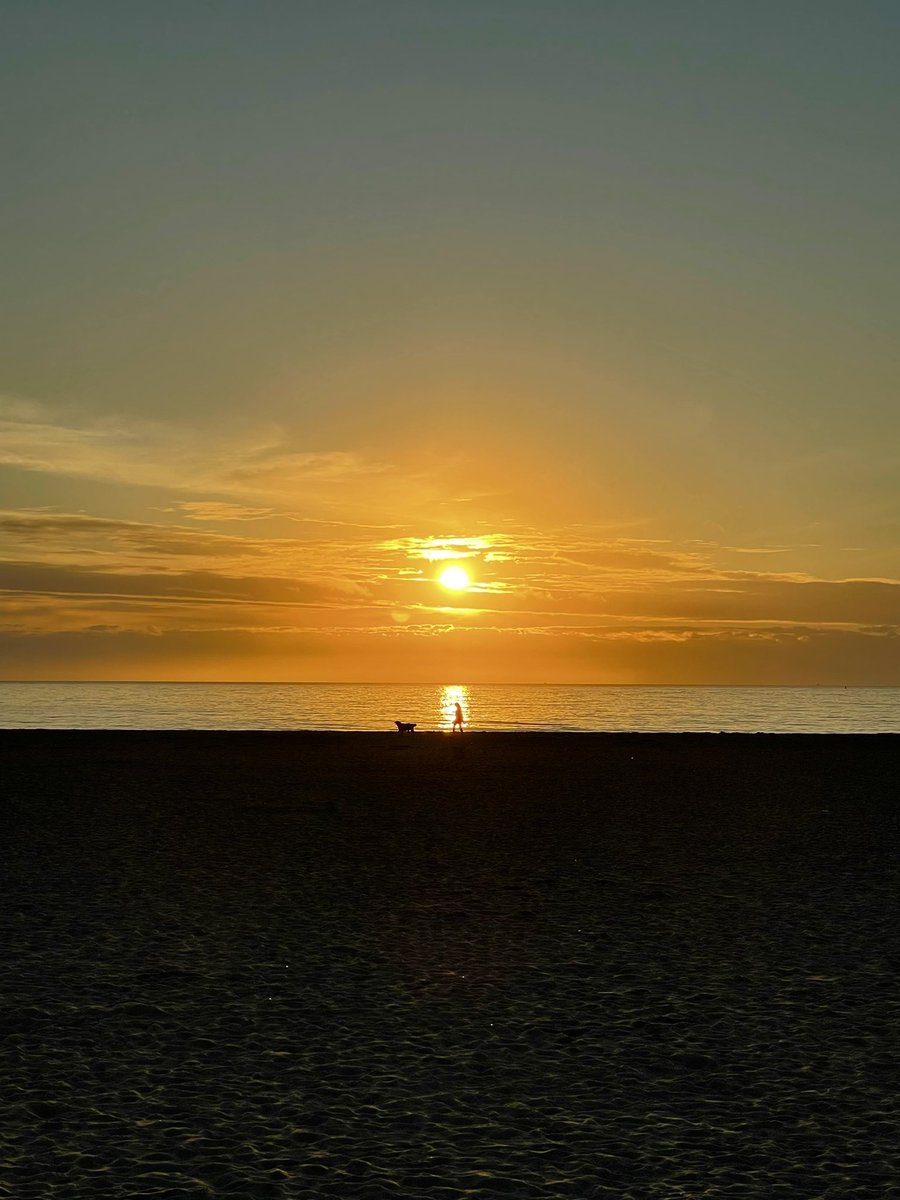 The Awe Project tweet media