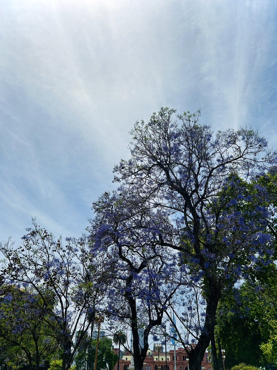 日本Streets tweet media