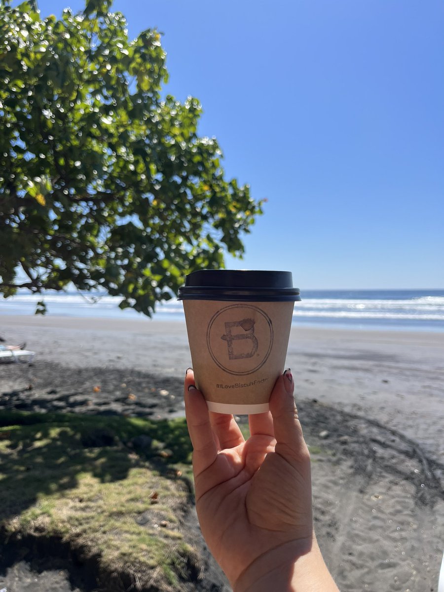 karla 🌱 tweet media