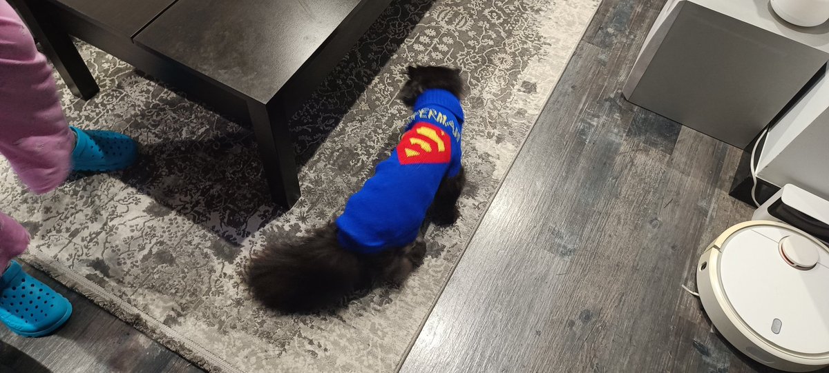 DavidRetamal's tweet photo. Nuestro SUPERCAT https://t.co/2bJguAtkrR