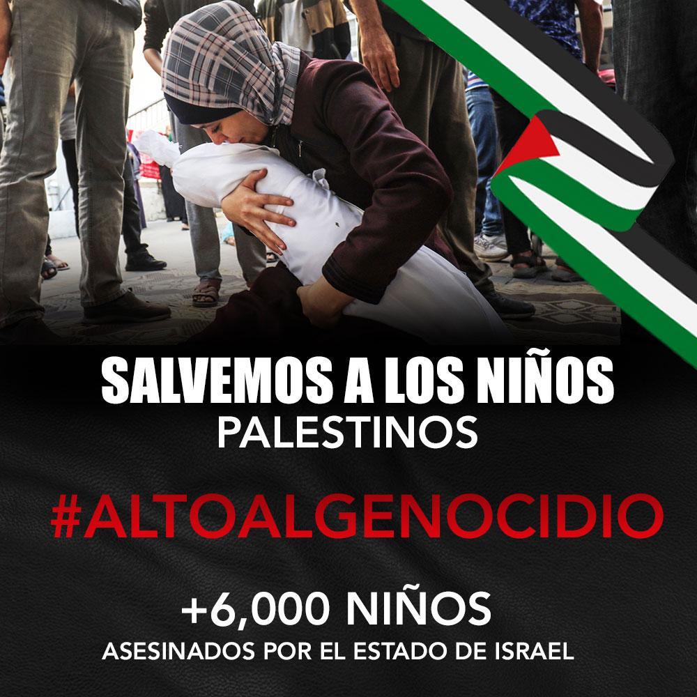 Salvemos a los niños palestinos.
#AltoAlGenocidio  🇵🇸
#FreeGaza #FreePalestine