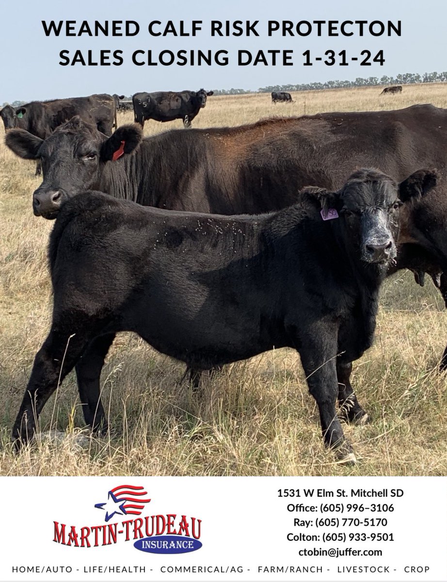ColtonTobin's tweet image. Sales closing date is 1-31-24 for Weaned Calf Risk Protection. If you would like to receive information on this new program, please click on the link attached.        

sprw.io/stt-pUMvREtuNF… ()