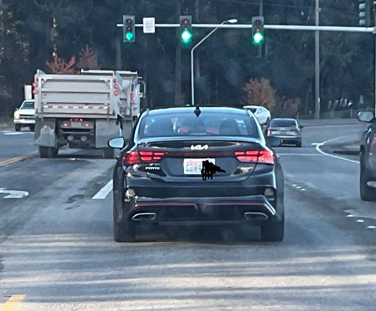 webbygirl tweet media