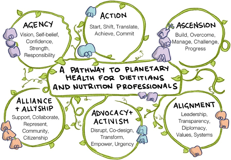Thrilled to see this paper, led by @Kris__MacKenzie, published! 'A pathway to #planetaryhealth for dietitians & nutrition professionals' onlinelibrary.wiley.com/doi/10.1002/pu… Co-authors applied Tagtow et al's I+PSE Conceptual F'work for Action & proposed this pathway w/ 6 guiding principles