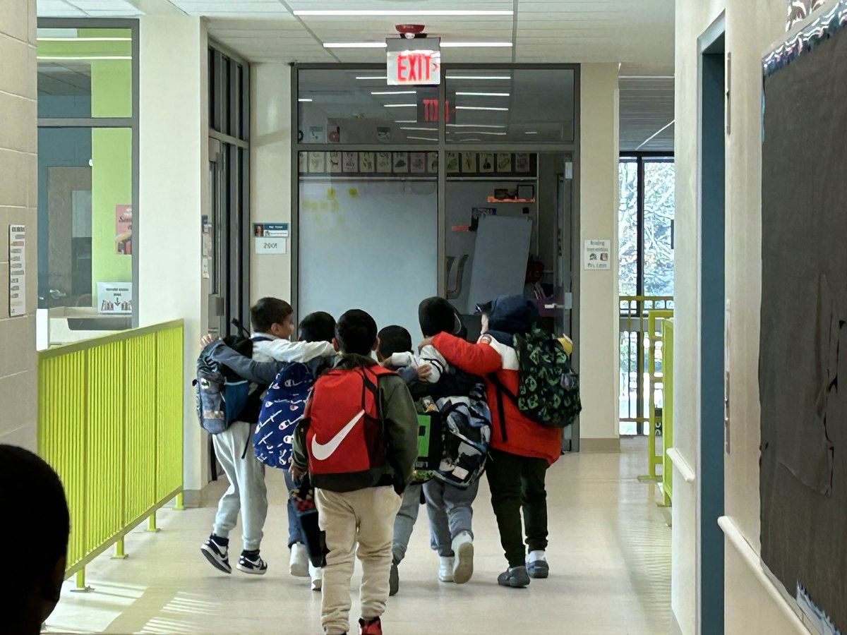 Minerva France Elementary tweet media