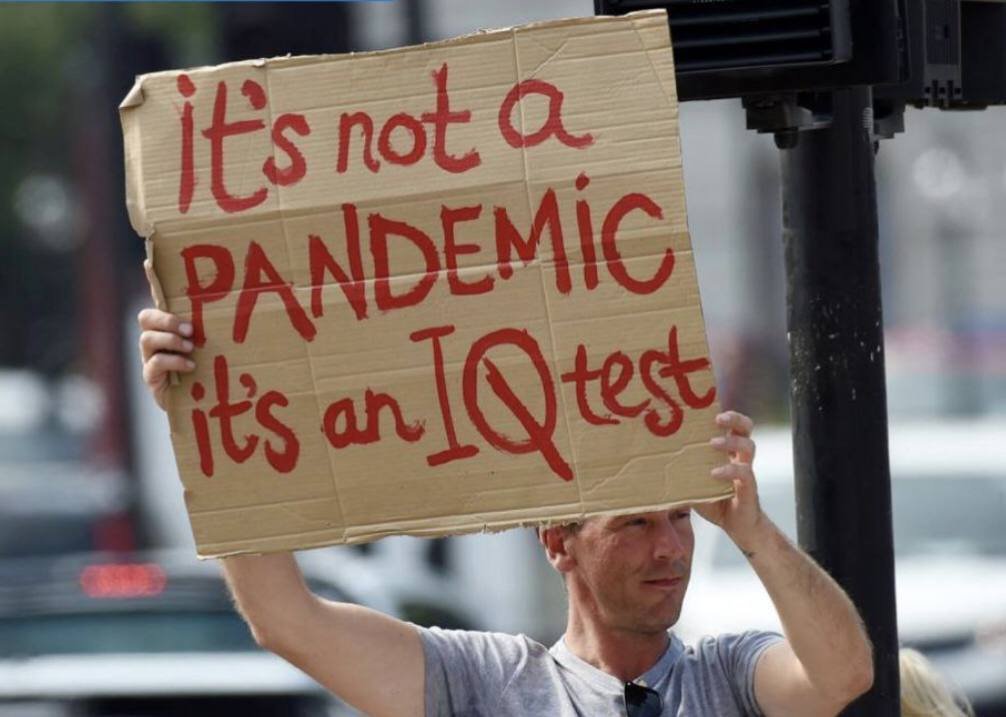 No fue una pandemia, fue un test de IQ (Coeficiente Intelectual).