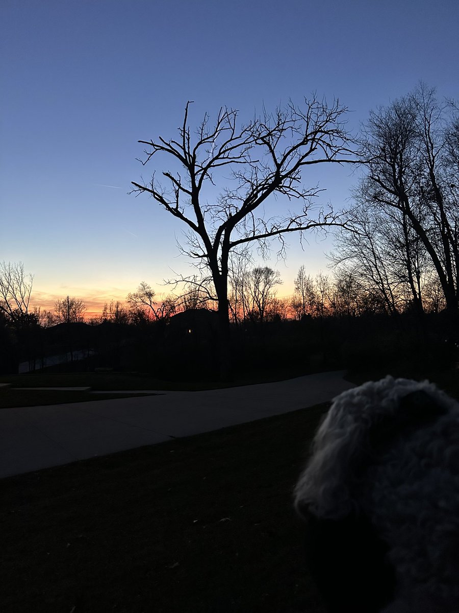 ChillDog2010's tweet photo. Sunsets❤️ https://t.co/tiSE1q6JNn