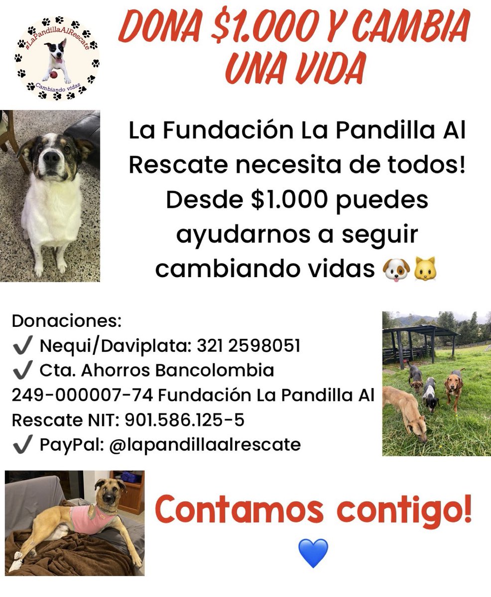 Marce_Tabares's tweet photo. 💔Creen que pueda vender 50 kits en 2 días? Lo sé, es imposible, pero es lo mínimo que necesito vender para cubrir las guarderías y comida de los 🐶 para este mes. Me ayudan a difundir? 🙏🏻🙏🏻💔🥺 https://t.co/vL5yWyi3JN