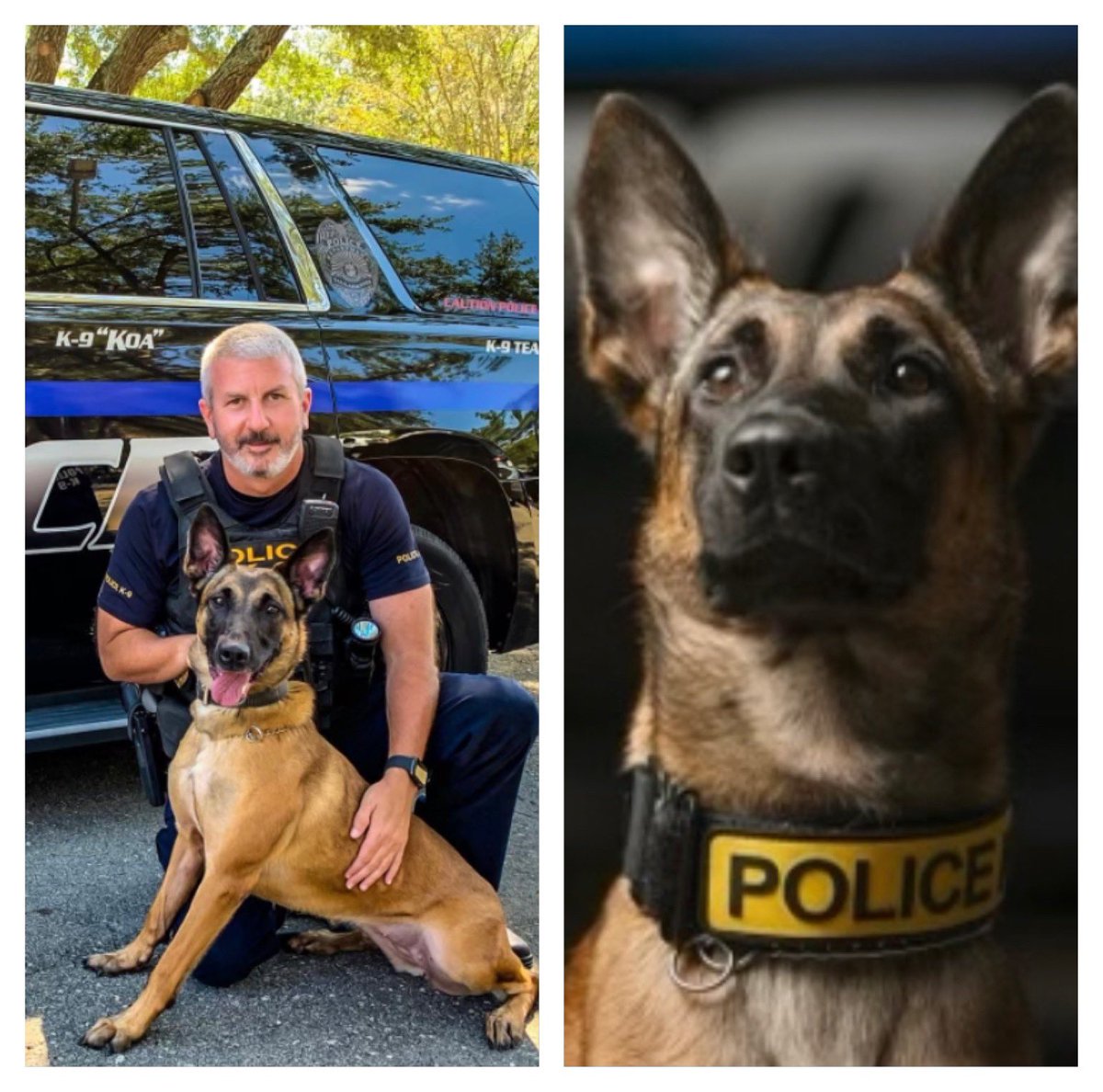 Love4PoliceDogs's tweet photo. Robbie &amp; K9 Koa 
There’s cool coin GIVEAWAY (my pinned post) to help get K9 Koa (&amp; K9 Tala) vested, plz check it out. 
Everyone has a chance to win but as always donors get extra entries! 
➡️ https://t.co/Ytdl9LBaz2 
ALL DONORS GET A GIFT (DM me receipt 2qualify) Plz repost. TY! https://t.co/99n7ZQsWt6