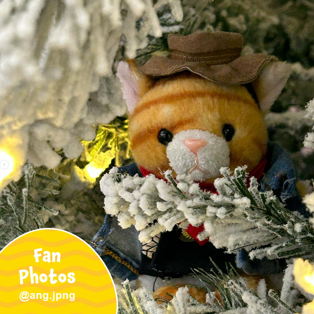 PalmpalsO's tweet photo. November is getting chilly! โ๏ธRemember to dress warm and stay cool, just like Meow here! ๐บThank you @ang.jpng for this cute and stylish photo!
โ
#palmpalsparty #palmpals #plushies #stuffedanimal #kawaiiplush #cuteplush #fanposts #fanlove #autumn #autumnvibes #fall #catlover https://t.co/ADM0KXtZTi
