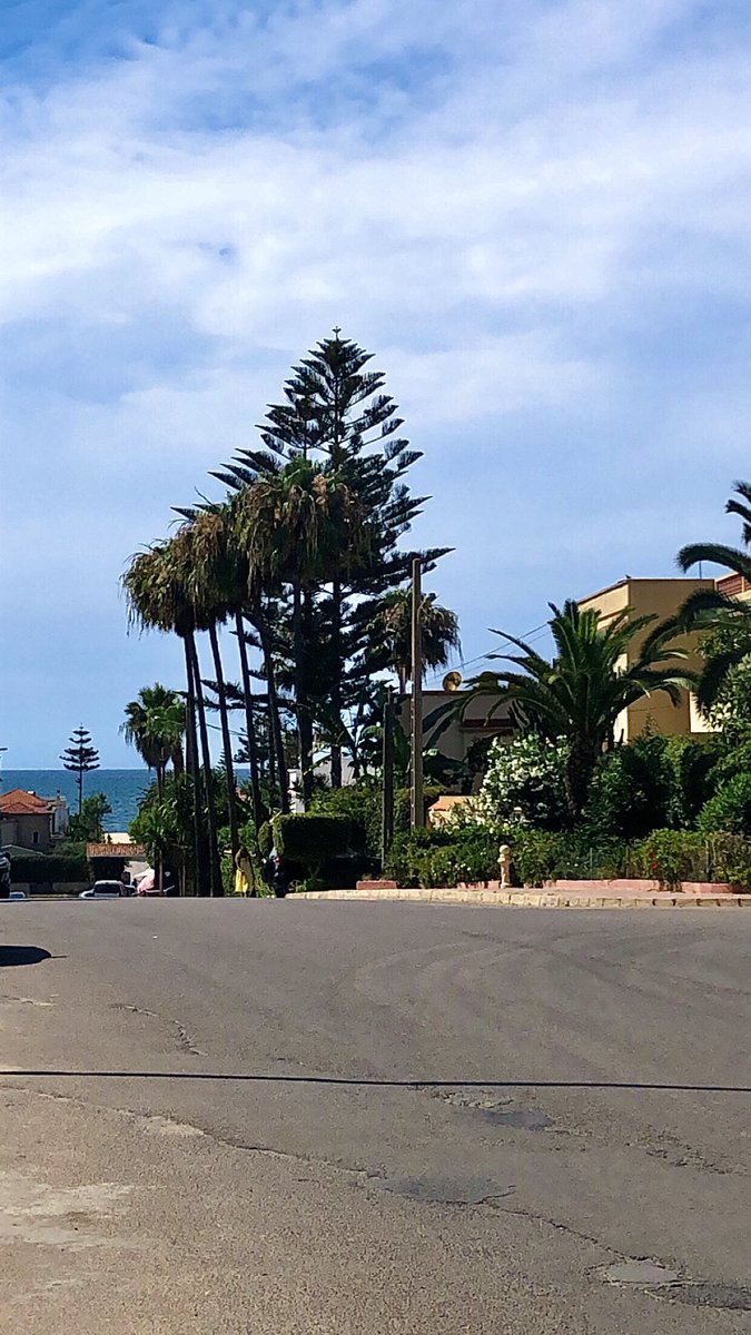 أعرف بالتأكيد أن البقاء على قيد الحياة أمر رائع 💙