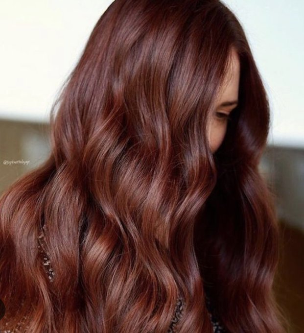 Which color should I dye my hair for a few months?  Dark red/brown or go more blonde? https://t.co/N<a href="/tag/lola"class="tags"><span>#lola</span></a><a href="/tag/halloween2023"class="tags"><span>#halloween2023</span></a>