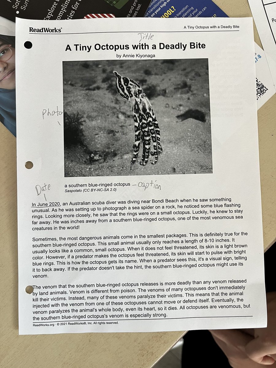 Colette Tobias 🧡 tweet media