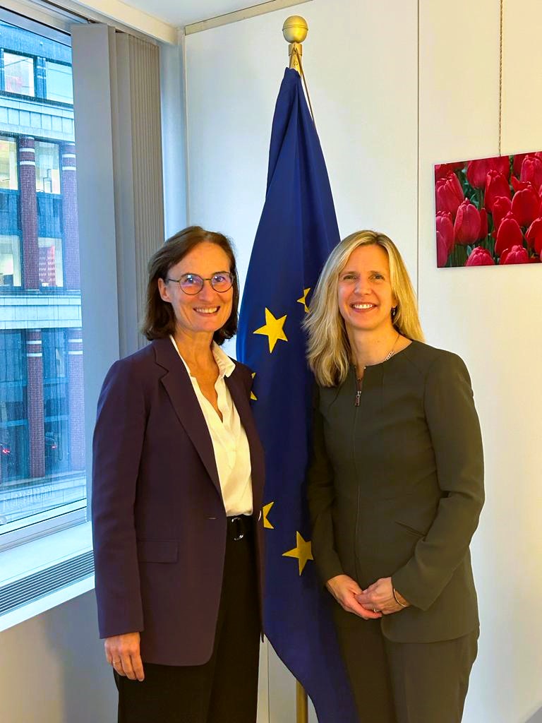 sarah_hendriks's tweet photo. The EU-@UN_Women partnership is vital to addressing gender inequality as a driver of conflict &amp; to promoting women’s leadership for peaceful societies.

Glad to connect with @StellaRonner &amp; @EricaGerretsen  to reaffirm that women's rights must remain at the center of our action. https://t.co/wVuyQZmY7Y