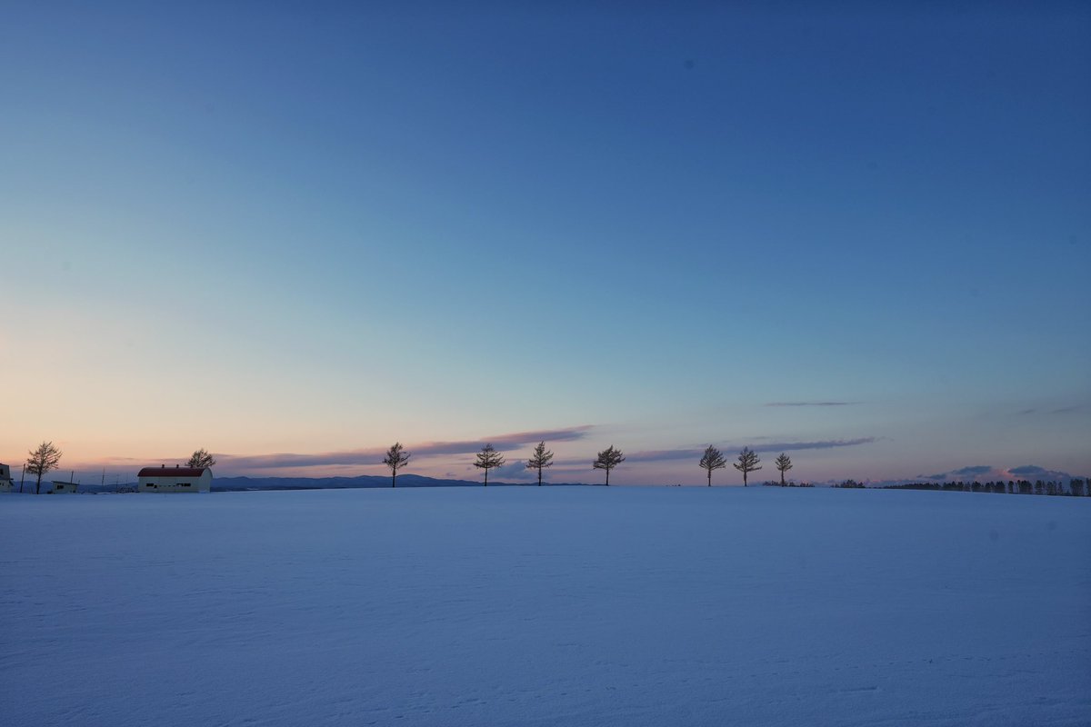 hil_lok's tweet photo. #メルヘンの丘 #北海道 #網走 #throwbackthursday #日落 #hokkaido #japan #landscape #sunset #sunsetlover #sunsetphotography #sonyalpha #sonyphotography #a74 #sonya7iv #sel1224gm #旅行好きな人と繋がりたい #写真好きな人と繋がりたい #ソニー #ソニーカメラ #ソニーα7iv https://t.co/BLCh1OCXVF