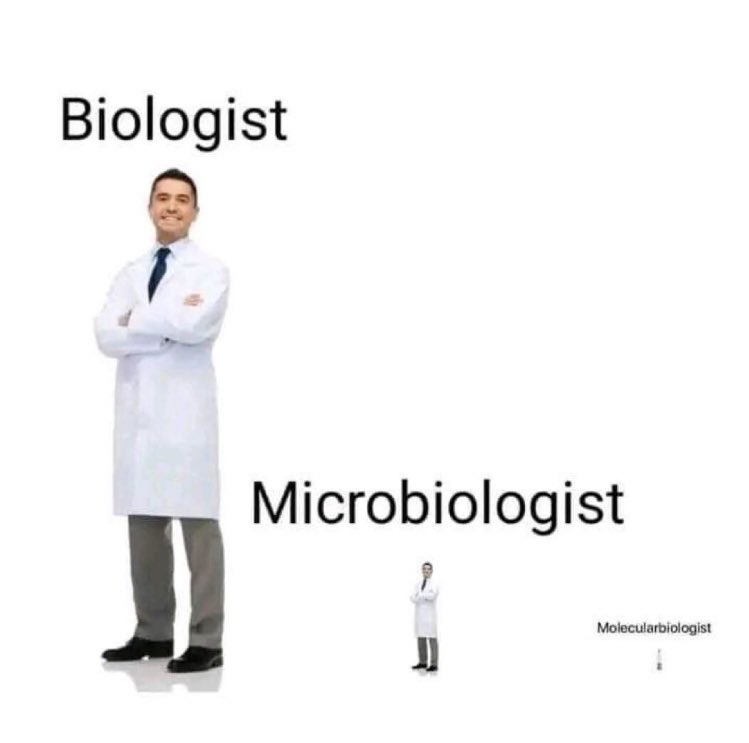 memecrashes's tweet photo. https://t.co/4CnFNVaQnM