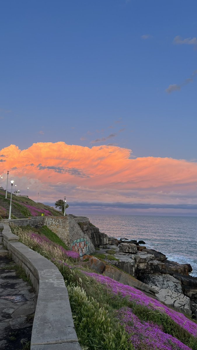 lulit____'s tweet photo. mar del plata | 15 de noviembre - 19:45 https://t.co/V6VktNSscU