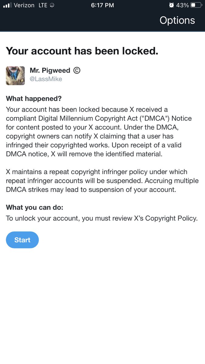 Mr. Pigweed ©️ tweet media