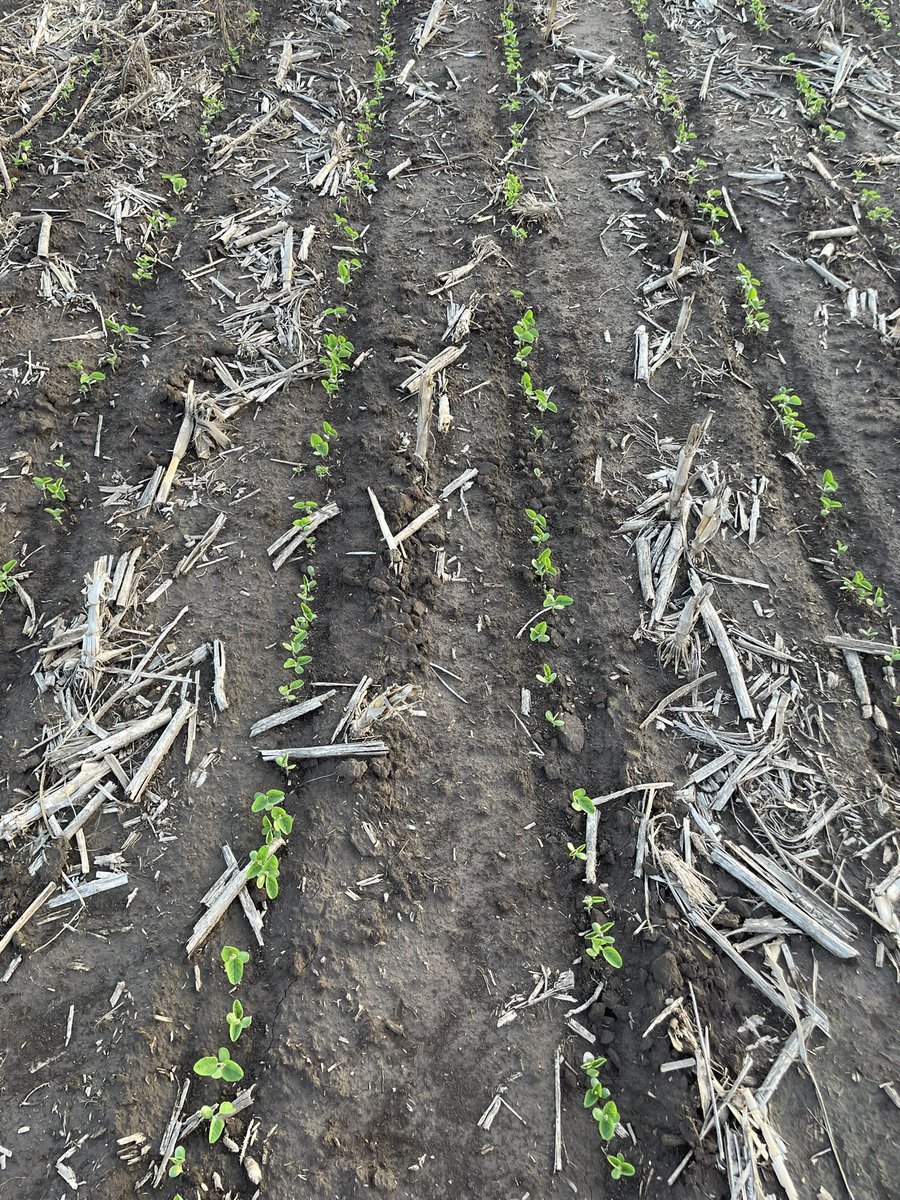 Julian Imhoff tweet media