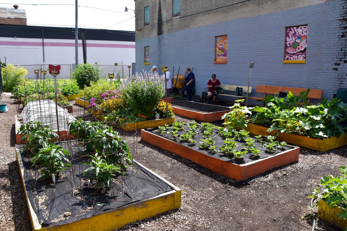 BGCChester's tweet photo. 🌱 Just like our gardens, this program is growing!

Our Gardening and Nutrition program was developed as one of our core values. https://t.co/fLeaiDzZs7