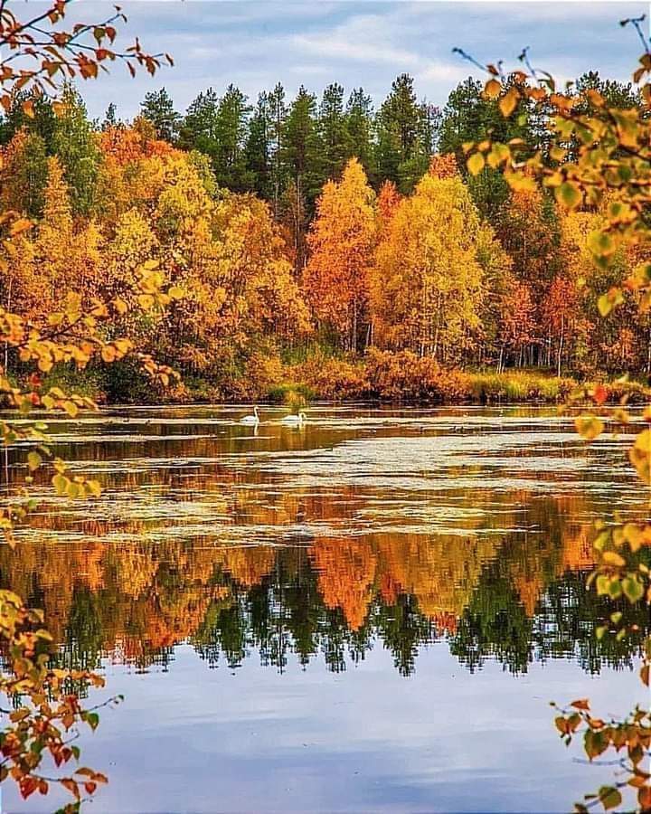 Picture Planet 🇧🇷🦂 tweet media