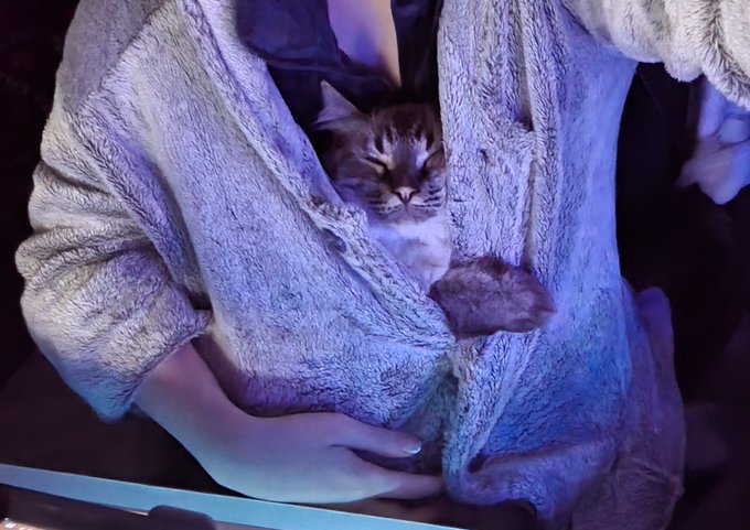 この状態で原稿やってる