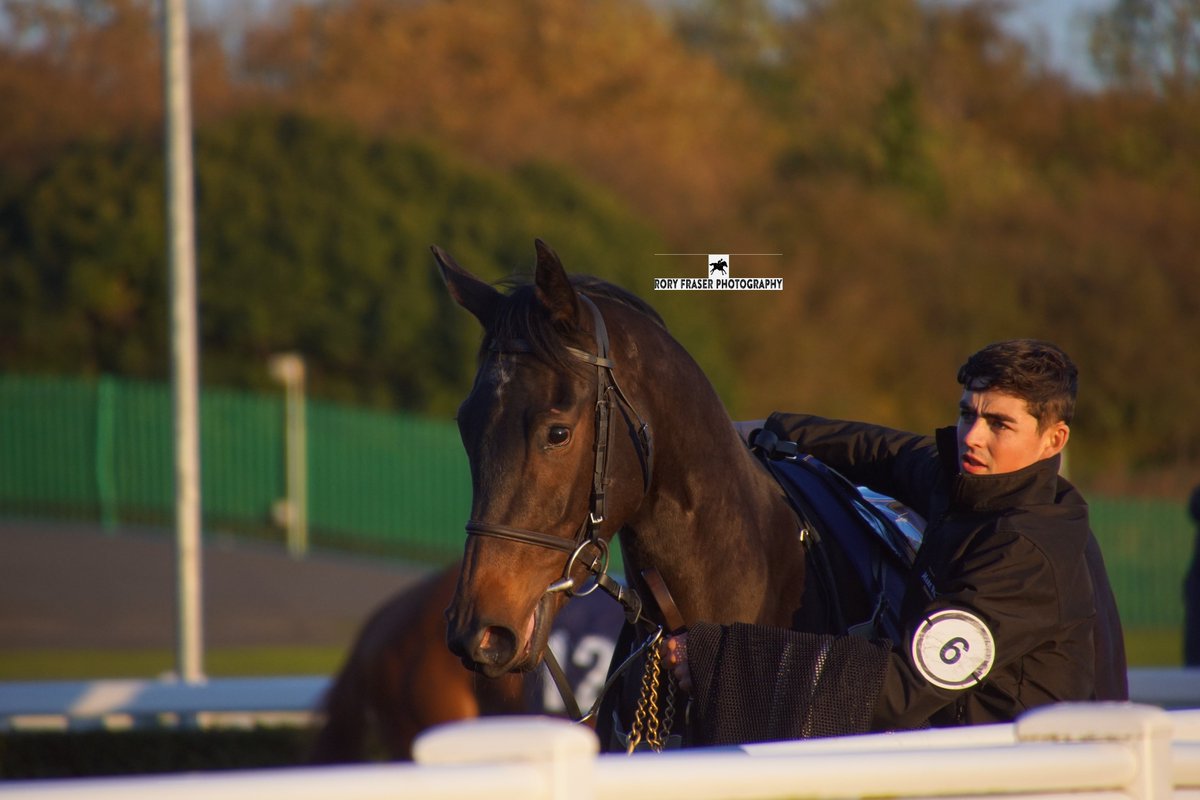 92RoryF's tweet image. GROOVE INN (Coach House x Diablo Dancer) at Newcastle last Friday evening in the 6f novice where he finished seventh.
Trained by @mwalfordracing and owned by @RacingMaximum &amp;amp; Miss J Guttis
A distant relative of the classy hurdler Ubi Ace, a listed winner over jumps.