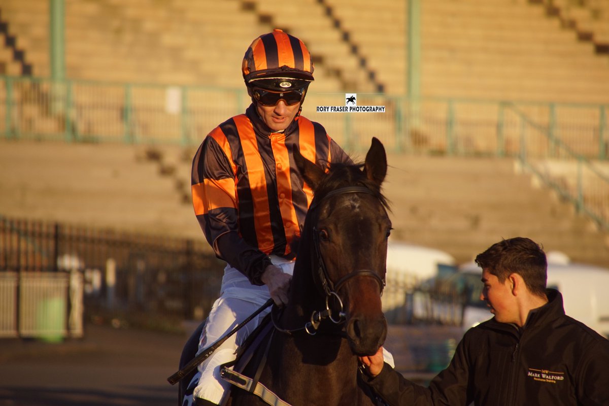 92RoryF's tweet image. GROOVE INN (Coach House x Diablo Dancer) at Newcastle last Friday evening in the 6f novice where he finished seventh.
Trained by @mwalfordracing and owned by @RacingMaximum &amp;amp; Miss J Guttis
A distant relative of the classy hurdler Ubi Ace, a listed winner over jumps.