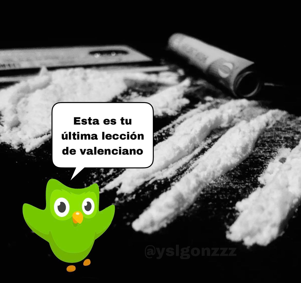wikipistacho's tweet photo. https://t.co/HwZFImI6vM