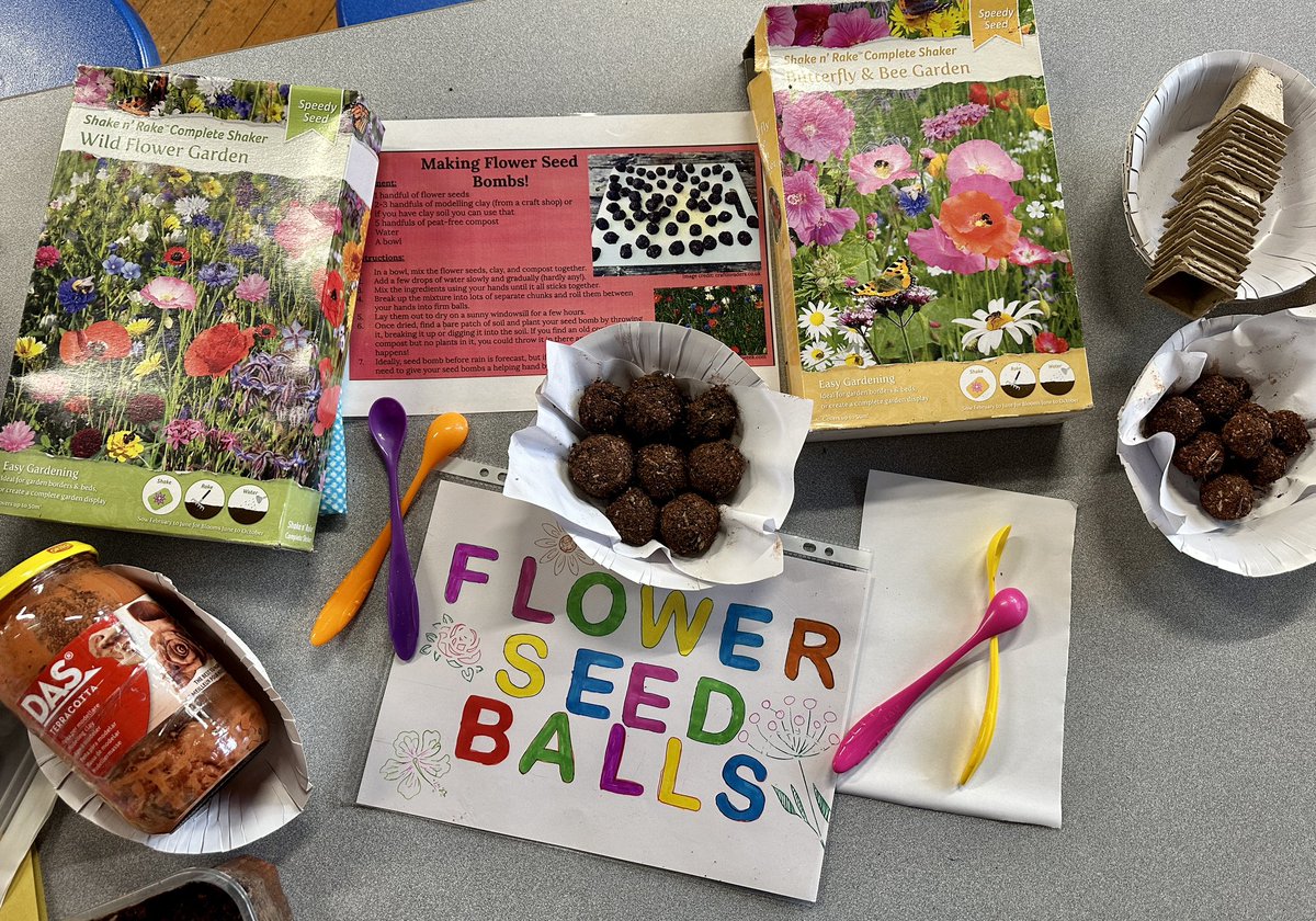 Making Flower seed balls <a href="/MilesCovSchool/">Miles Coverdale Schl</a> 

Making wildflower seeds balls to provide a habitat and food for our pollinators, insects and wildlife, will also add charm to the playground, well done Y4, Y3, Y2, Y1 and reception 🌷🌱