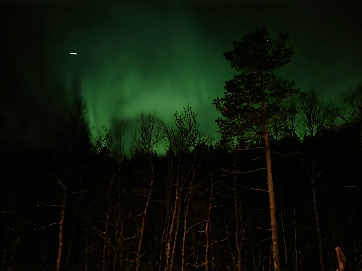 Ik zeg dat de vakantie geslaagd is