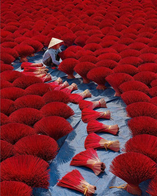 The process of drying incense sticks, Vietnam 🇻🇳