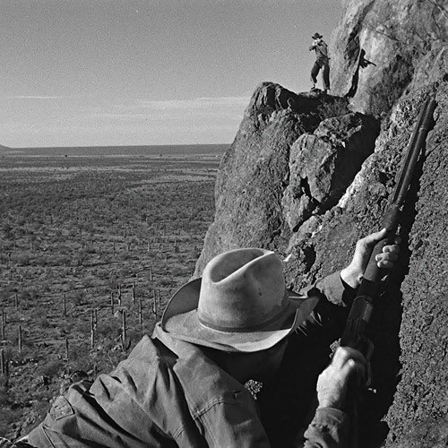 Rodrigo Figueroa C. tweet media