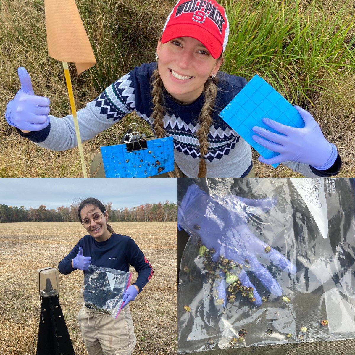 Dominic Reisig tweet media