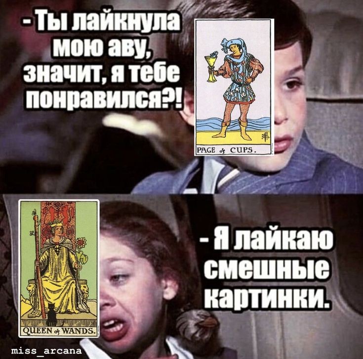 fustine_'s tweet photo. @katerinahecate Мои любимые🥰✨️ https://t.co/srOBvSiBZz