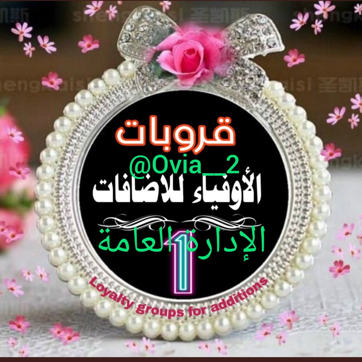 إن قلت شكراً فشكري لن يوفيكم، حقّاً سعيتم فكان السّعي مشكوراً، إن جفّ حبري عن التّعبير يكتبكم قلب به صفاء الحبّ تعبيراً.
#قروبات_الاوفياء_للاضافات