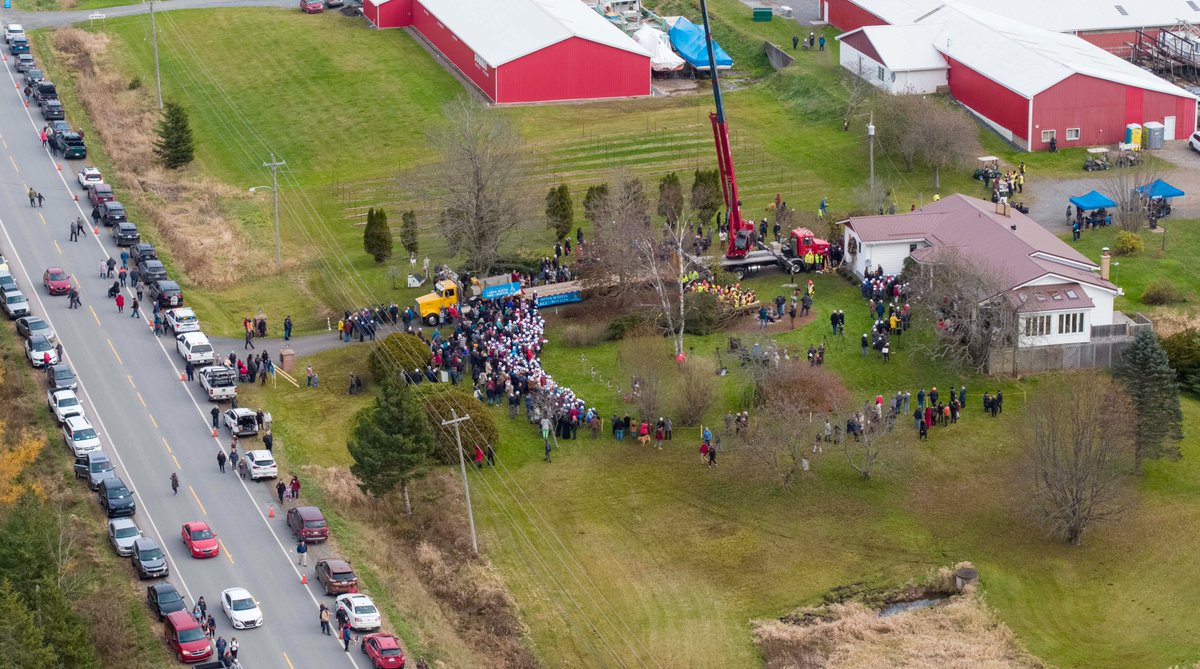 Tree for Boston tweet media