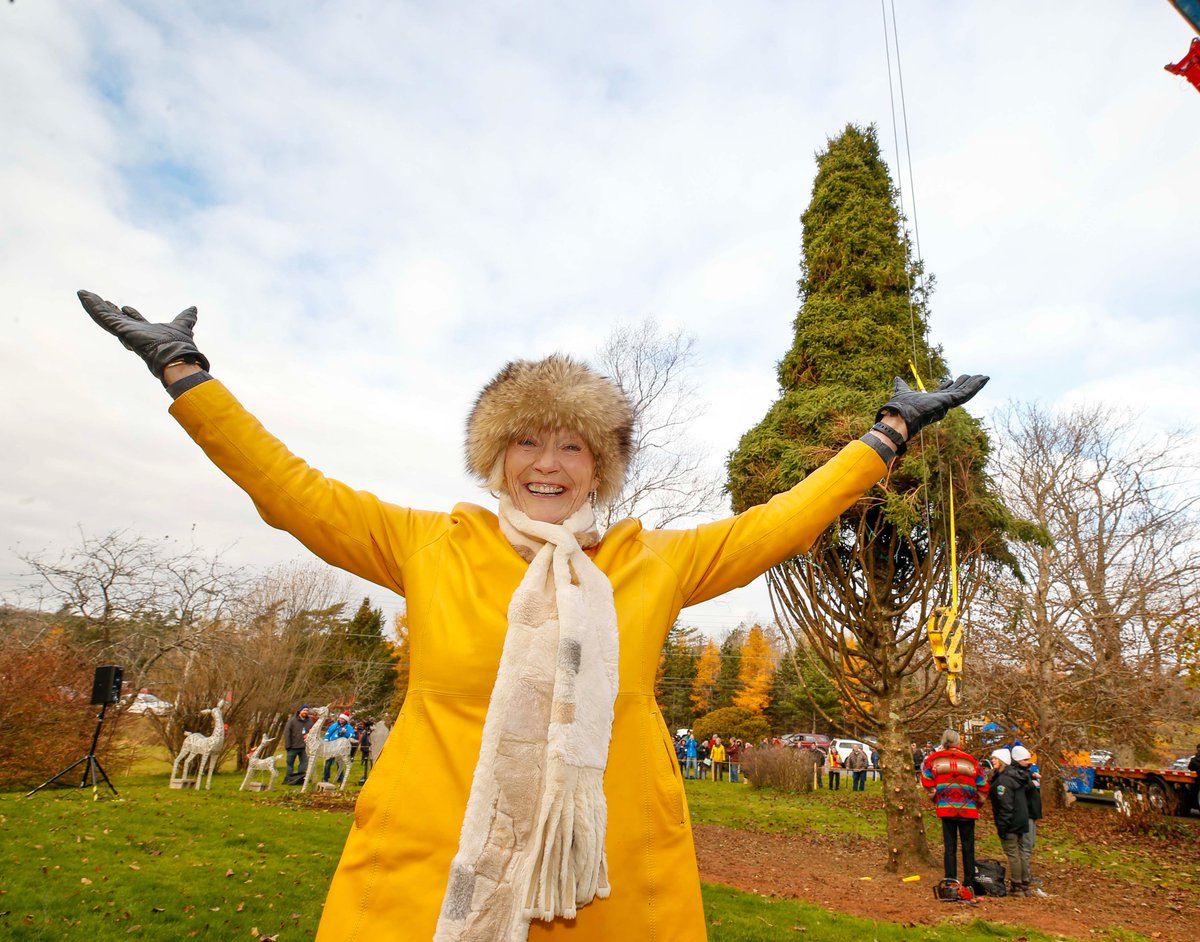 Tree for Boston tweet media