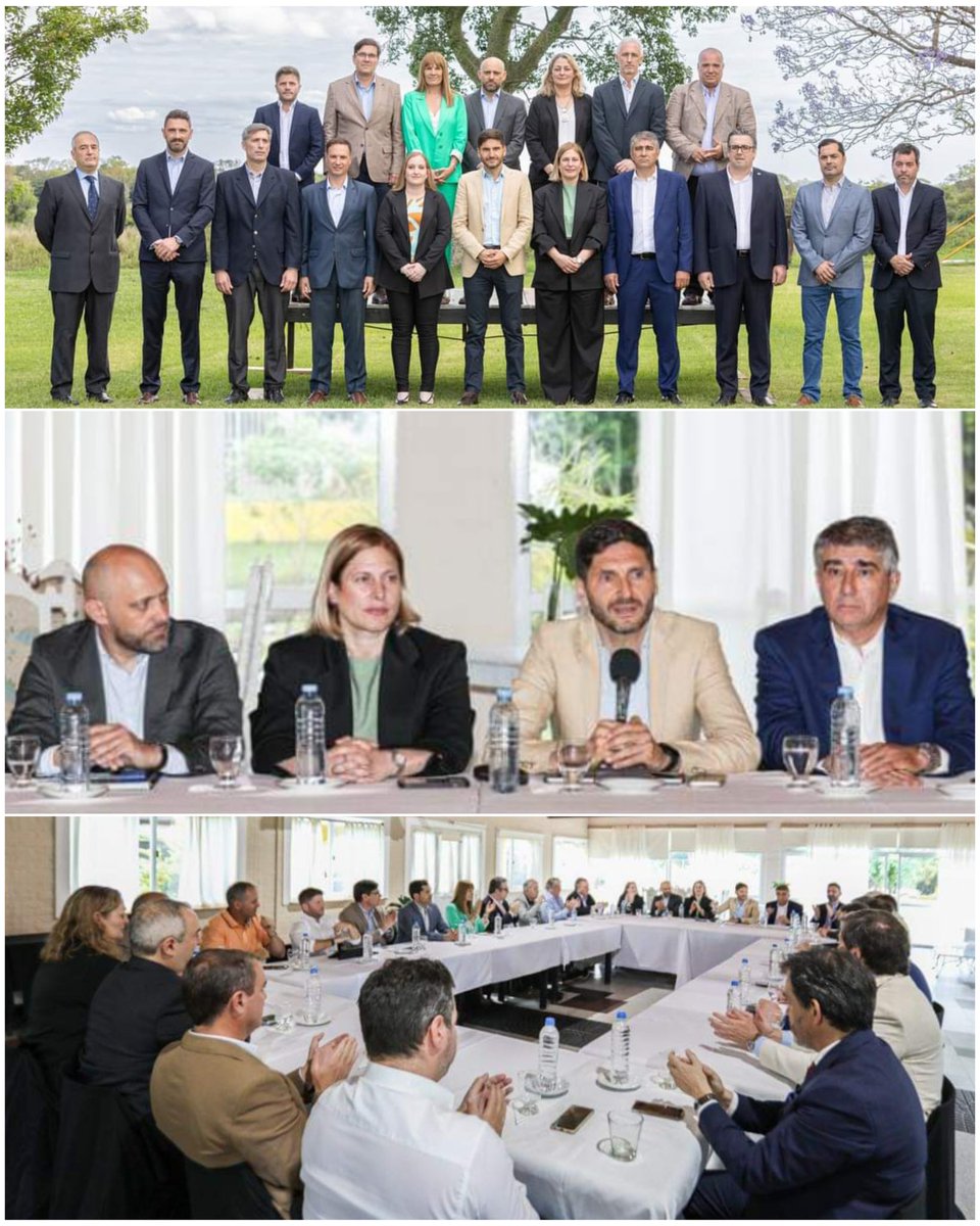 Daniel Tonelli tweet media