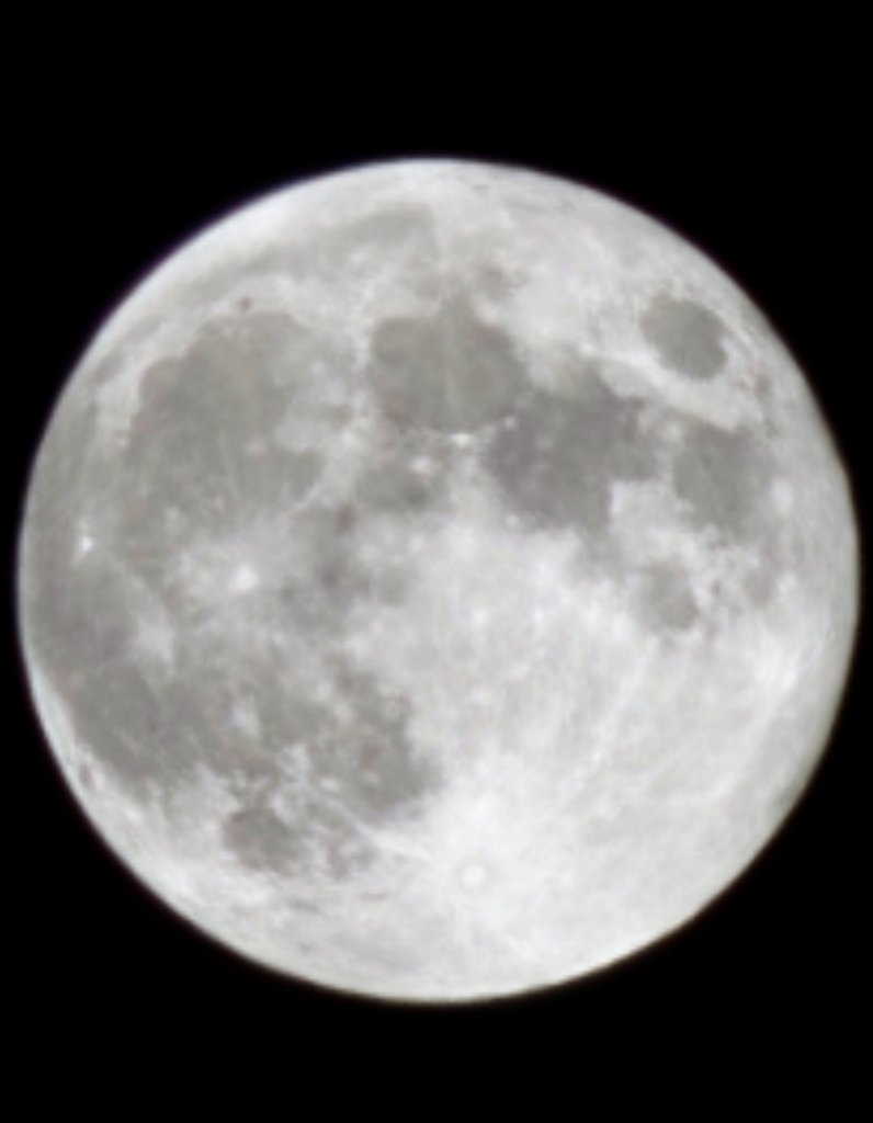 MandyPandi87's tweet photo. @GreatDane_photo #fullmoon2023 #october #moon #NaturePhotograhpy #astrologicalphoto https://t.co/0TijpZ97zT