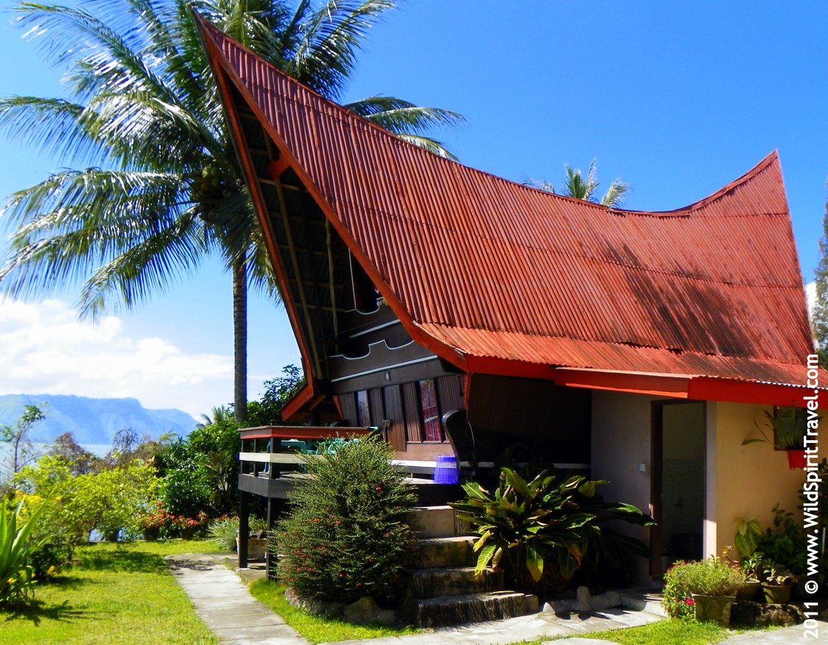 Wild Spirit Traveler tweet media