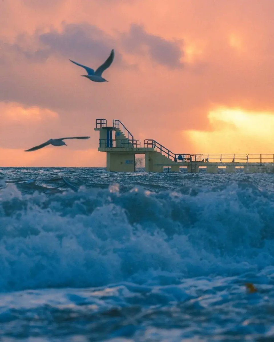 visit_galway's tweet photo. We absolutely love this collection of photos of the iconic Blackrock Diving Tower... Hats off to @BrendanOBrienIE for these awesome shots! 🌅🏊😍

#BlackrockDivingTower #SalthillProm #Salthill #WAW #WildAtlanticWay #Galway #Ireland #VisitGalway

📖 https://t.co/7suWvRL7AO https://t.co/BLIgIGZp7r
