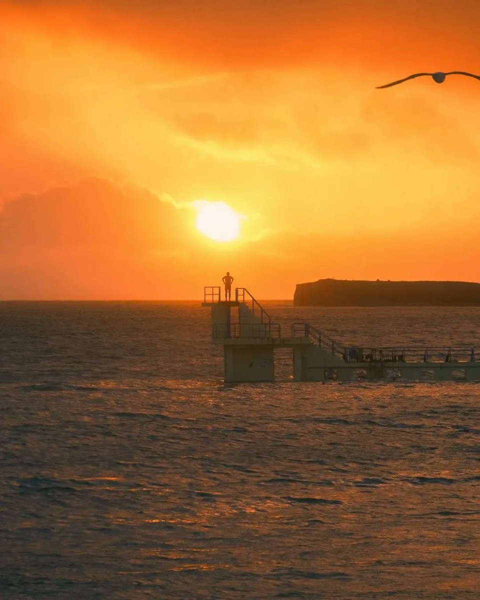 visit_galway's tweet photo. We absolutely love this collection of photos of the iconic Blackrock Diving Tower... Hats off to @BrendanOBrienIE for these awesome shots! 🌅🏊😍

#BlackrockDivingTower #SalthillProm #Salthill #WAW #WildAtlanticWay #Galway #Ireland #VisitGalway

📖 https://t.co/7suWvRL7AO https://t.co/BLIgIGZp7r