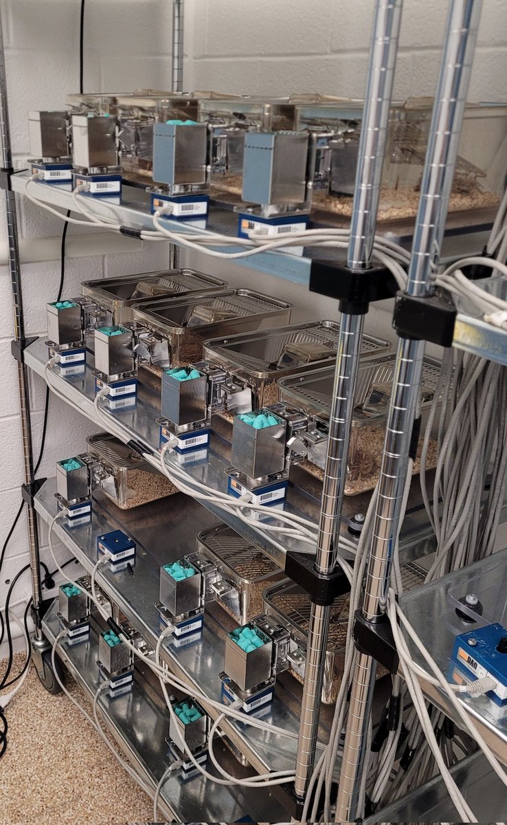 Andrew J. Lutkewitte (@ajlutkewitte) on Twitter photo Super excited to start my first study <a href="/KUDiabetesInst/">KU Diabetes Institute</a> using the BioDaq <a href="/ResearchDiets/">Research Diets Inc.</a> equipment of the <a href="/KCMORE_KUMC/">KC-MORE COBRE KUMC</a>! Super excited to start my first study <a href="/KUDiabetesInst/">KU Diabetes Institute</a> using the BioDaq <a href="/ResearchDiets/">Research Diets Inc.</a> equipment of the <a href="/KCMORE_KUMC/">KC-MORE COBRE KUMC</a>!