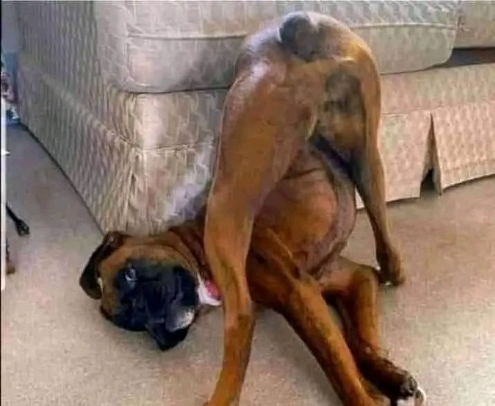 sekzos's tweet image. Minnie Dlamini Hustle and Itumeleng Hustle